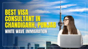 Best Visa Consultant in Chandigarh, Punjab – White Wave Immigration