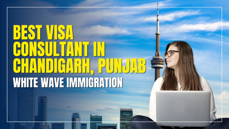 Best Visa Consultant in Chandigarh, Punjab – White Wave Immigration