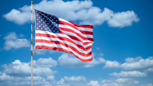 USA Immigration Consultants Mohali: How Immigration Consultants in Mohali, Punjab Can Help With U.S. Visa Preparation